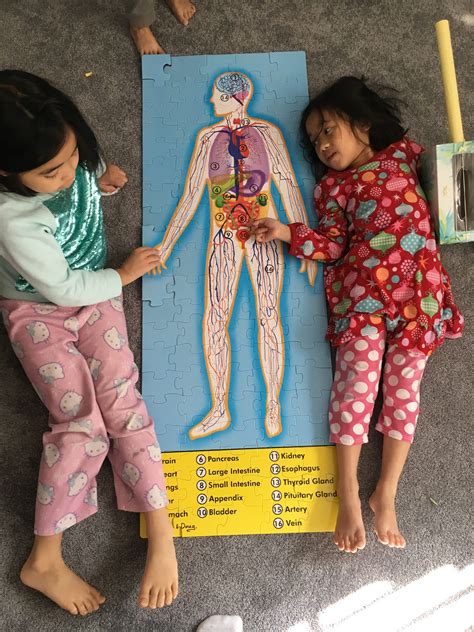 Learning Parts Of The Body In Tagalog Mga Parte Ng Katawan Fil Am