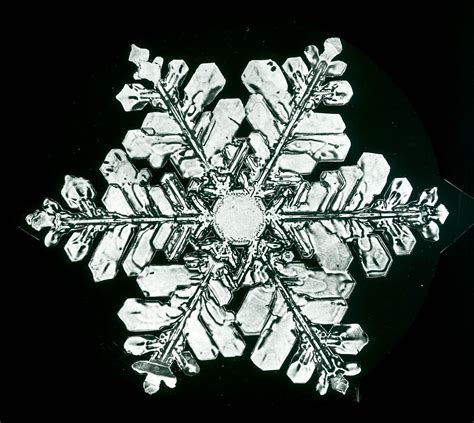 Snowflakes The Extraordinary Micro Photographs Of Winter Snow Crystals
