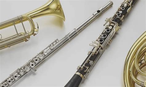 Brass Vs Woodwind Which One Is Best For You