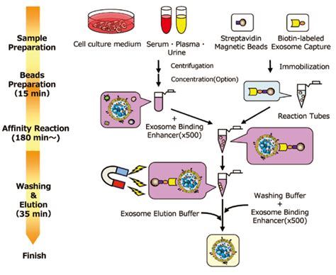 Isolation Purification Of Exosome Life Science Products