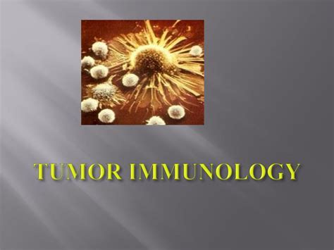 Ppt Tumor Immunology Powerpoint Presentation Free Download Id2338851