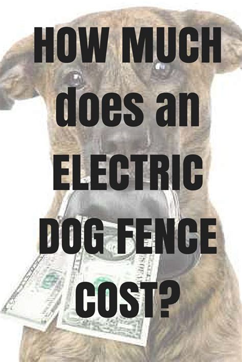 Tips on making your dog ready for a wireless fence. How Much Does An Electric Dog Fence Cost? | Dig Your Dog