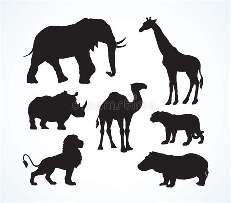 African Animals Vector Drawing Stock Vector Illustration Of Drawing