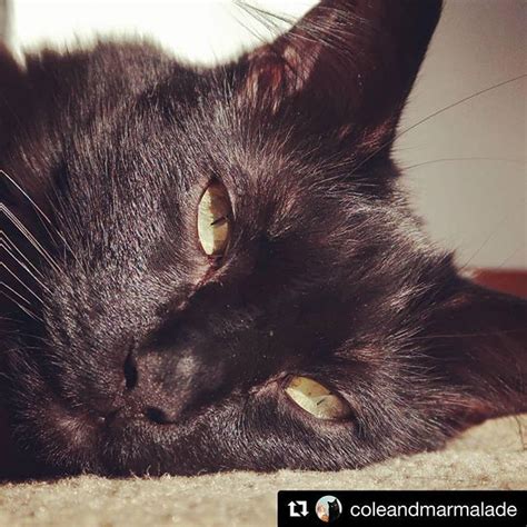 A photo posted by stefania ferrario (@stefania_model) on aug 6, 2015 at 10:11am pdt. Is it Furiday yet?! #Repost @coleandmarmalade . . . # ...