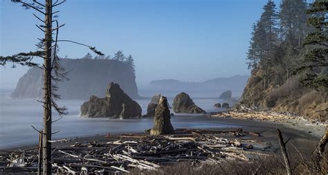 The 5 Best Olympic National Park Tours From Seattle 2023 Reviews