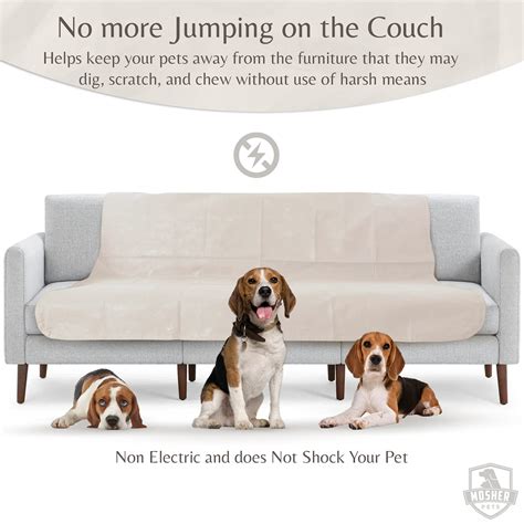 How To Keep Dog From Drooling On Furniture