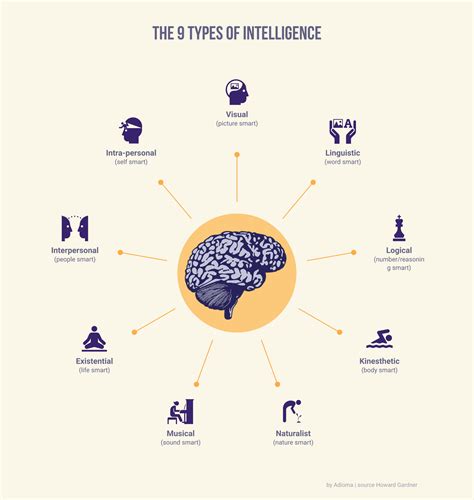 The 9 Types Of Intelligence Visualized By Admin Made On Adioma