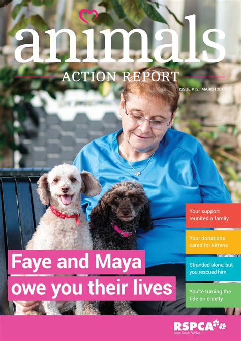 Rspca Nsw Animals Action Report March By Rspca Nsw Issuu