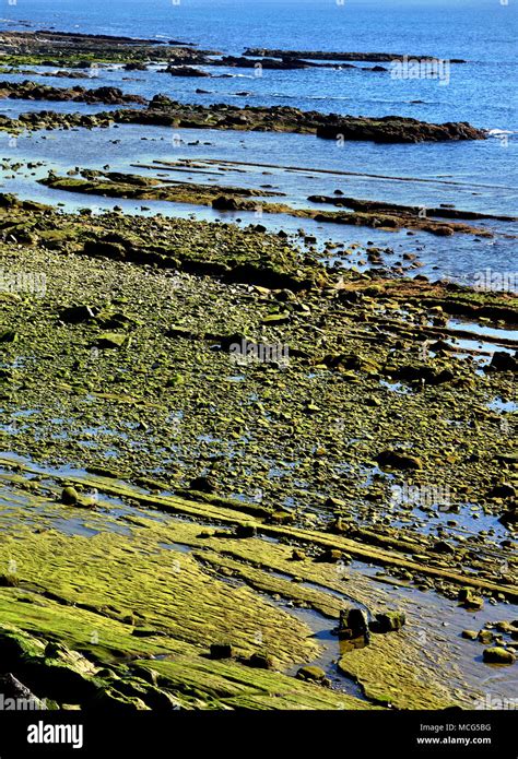 Green Algae Rock Cliffs Hi Res Stock Photography And Images Alamy