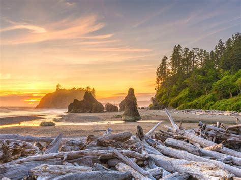 The Ultimate Guide To Olympic National Park Wildland Trekking
