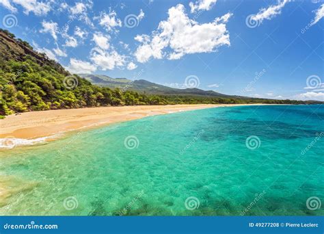Tropical Paradise Found Stock Photo Image Of Sand Picturesque 49277208