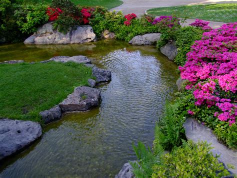 Free Images Plant Lawn Flower Pond Stream Spring Backyard