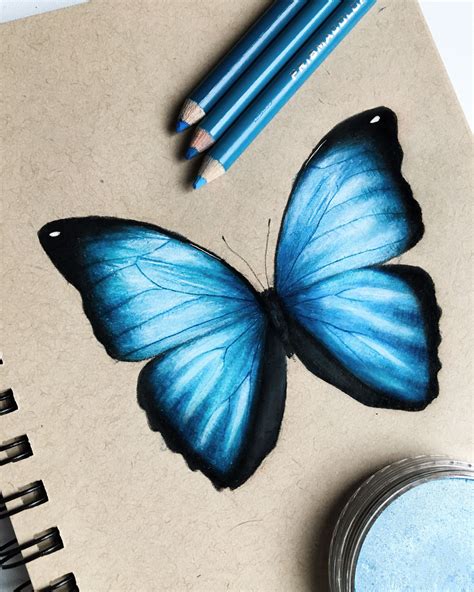 I Drew This Blue Butterfly And I Really Like How It Turned Out I