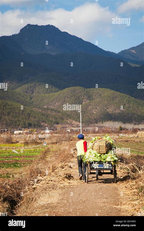 Chinese Farmer Moves Cart Of Vegetables In Rural Yunnan Province
