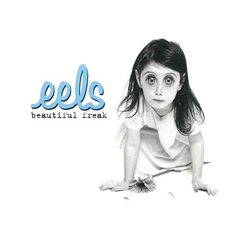 Eels Beautiful Freak Album Artrockstore