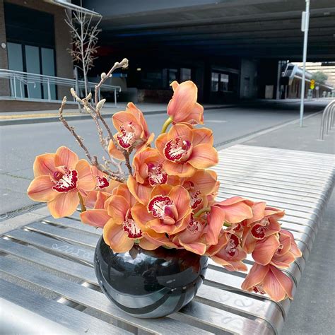 Cymbidium Orchid Design Flowers In A Vase Melbourne Miei