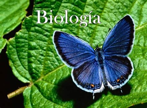 Biología Morfologia Y FisiologÍa De Los Aparatos Reproductores