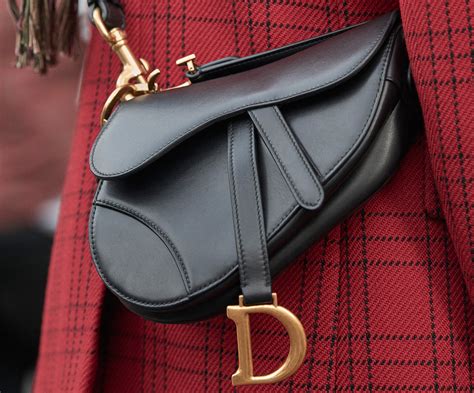 Dior Brought Back Its Early 2000s Saddle Bag Iucn Water