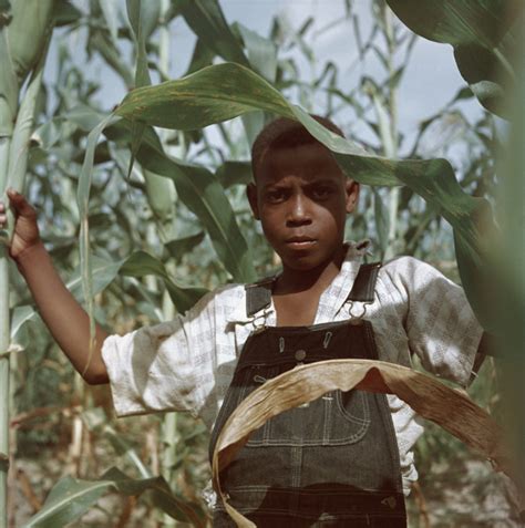 Killerbeesting Gordon Parks Untitled Shady Grove Alabama 1956