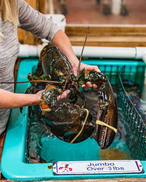 Nova Scotia Lobster 20 Ways To Enjoy Lobster In Nova Scotia