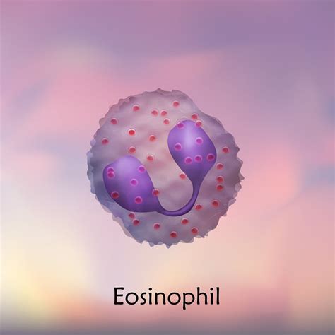 High And Low Absolute Eosinophil Count Functions Selfhacked
