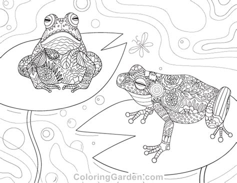 Adult Frog Coloring Pages