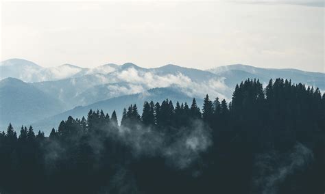 Mountains Clouds Forest Fog Hd City Wallpapers Places