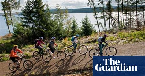 Ten Top Forests For Cycling Trees And Forests The Guardian