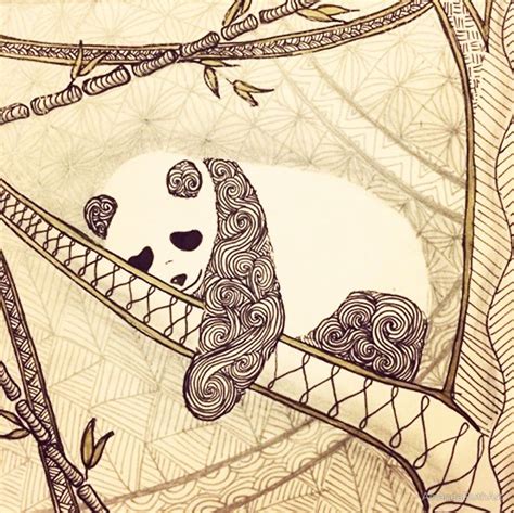 Zentangle Patterned Panda By Amandaruthart Zentangle Patterns Tangle