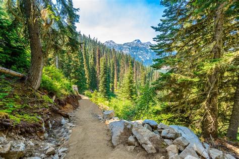 Canadas Best Hiking Routes The 9 Most Scenic Trails In The Country