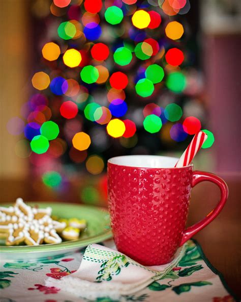 Free Images Winter Warm Cup Hot Chocolate Food