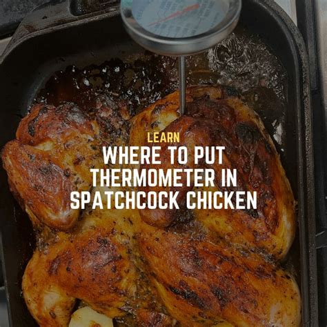 Where To Put Thermometer In Spatchcock Chicken Simple Steps