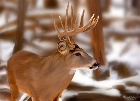 Free Download Go Back Images For Whitetail Deer Painting Wallpaper