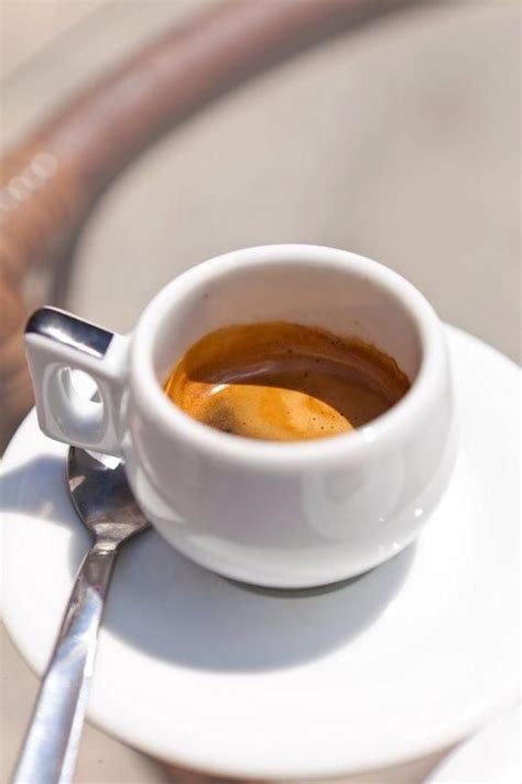 We post regular language and cultural information on facebook, and. 59 best images about NESPRESSO. WHAT ELSE ? on Pinterest | Sandra bullock, Toronto and Geneva