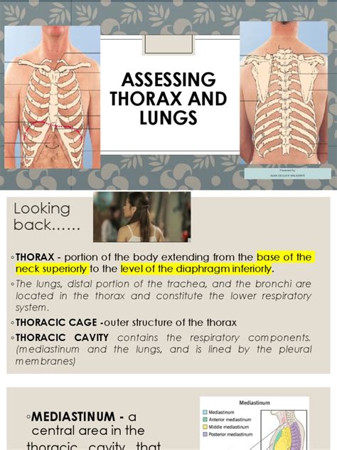 Assessing Thorax And Lungs Pdf