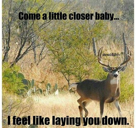 Best 25 Hunting Humor Ideas On Pinterest Funny Hunting Quotes Deer