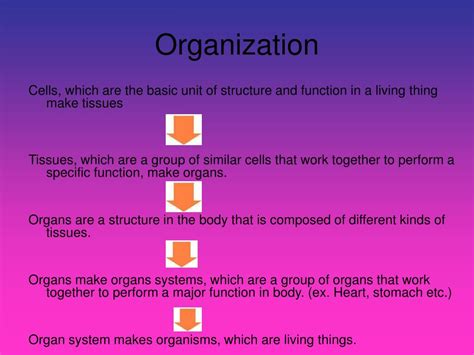 Ppt Organization Of Life Powerpoint Presentation Free Download Id