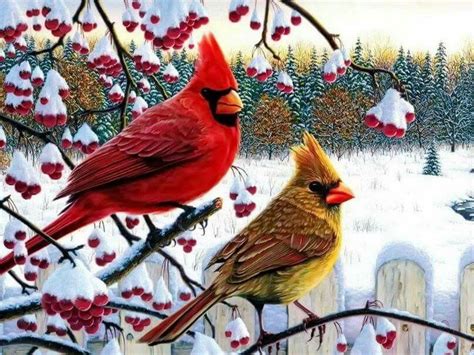 Pin By Annie Kershner On Winter Cardinal Birds Winter Animals