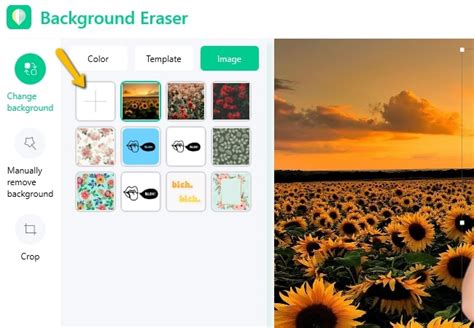 Use your image to remove and edit background. Best Photo Background Changer Software for PC of 2020