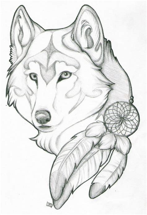 This 29 Facts About Simple Wolves Drawings Easy 900x729 Wolf Sketch