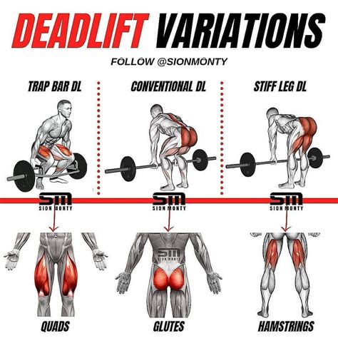Deadlift Variations By Tips4health 🗯what Is Your Favourite Deadlift
