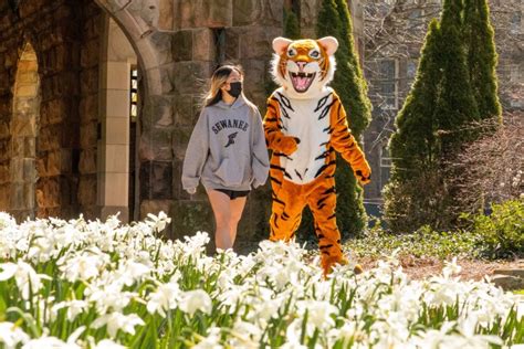 Tiger Tuesday Toolkit The University Of The South
