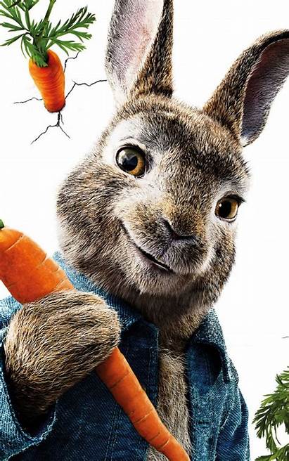 Rabbit Peter Mobile Wallpapers 4k Movies Ultra