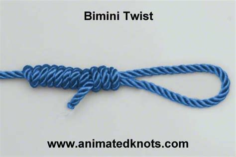 Tutorial On Bimini Twist Knot Tying Fishing Knots Knots Twist Knot