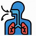 Respiratory System Icon Anatomy Biological Editor Open