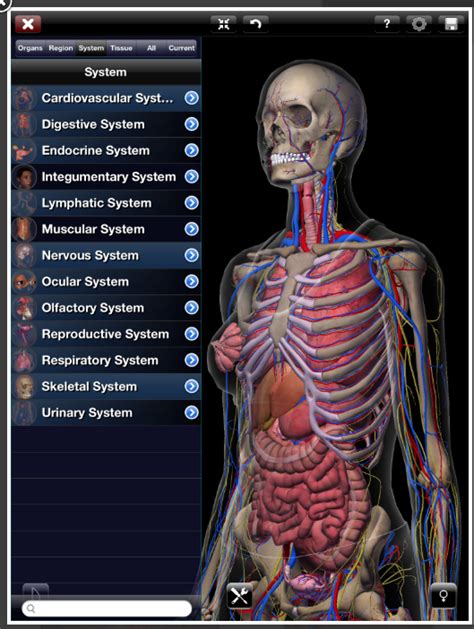 Is A 3d Anatomy Atlas And Dissection Lab There Are Accurate