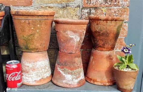 6 Vintage Terracotta Plant Pots 925 In Ilminster Somerset Gumtree