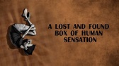 Täglich einen Kurzen: A Lost and Found Box of Human Sensation von ...