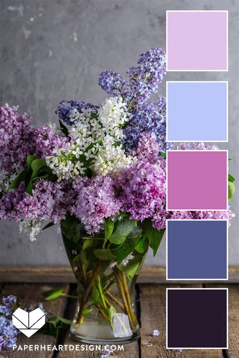 Color Palette You Can Learn A Lot Of Things From The Flowers — Paper