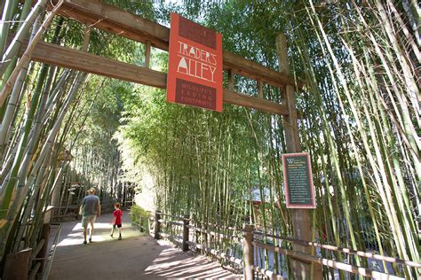 Zoo Atlanta Complex Carnivores And Traders Alley Epsten Group
